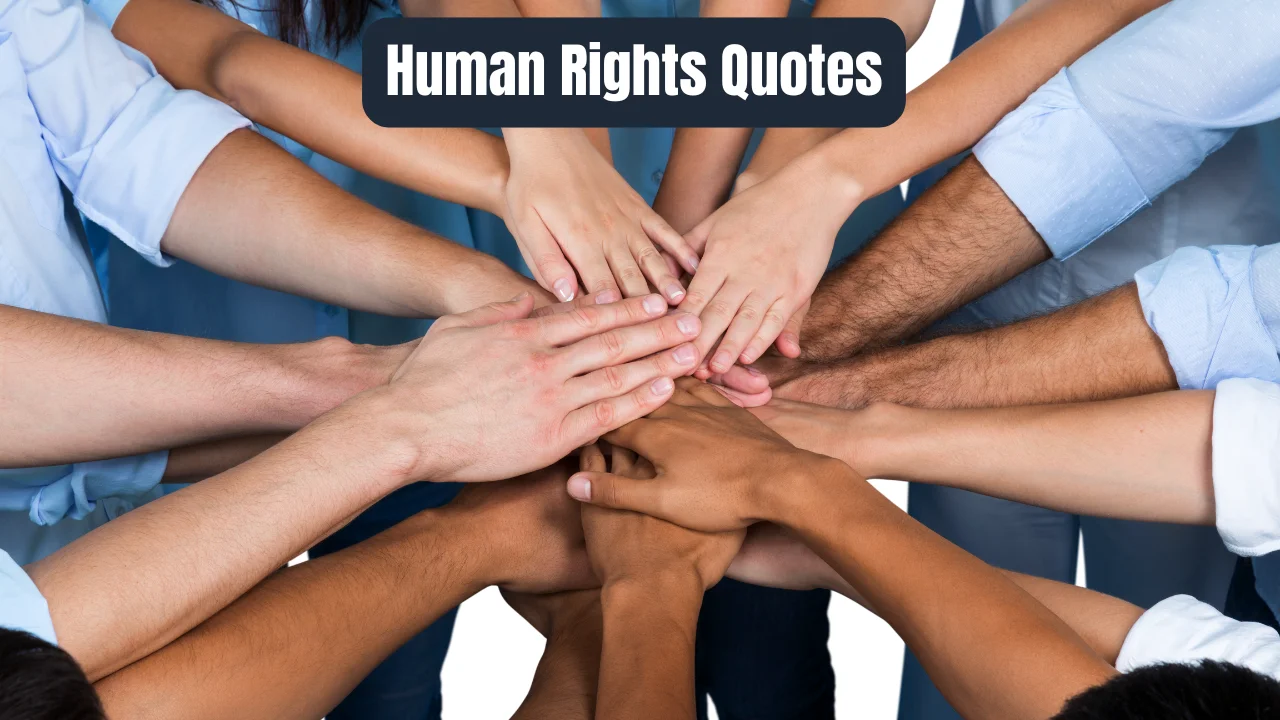 Human Rights Quotes