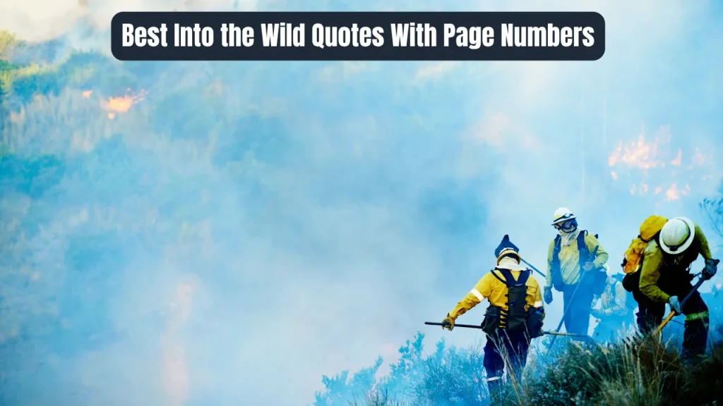 Best Into the Wild Quotes With Page Numbers