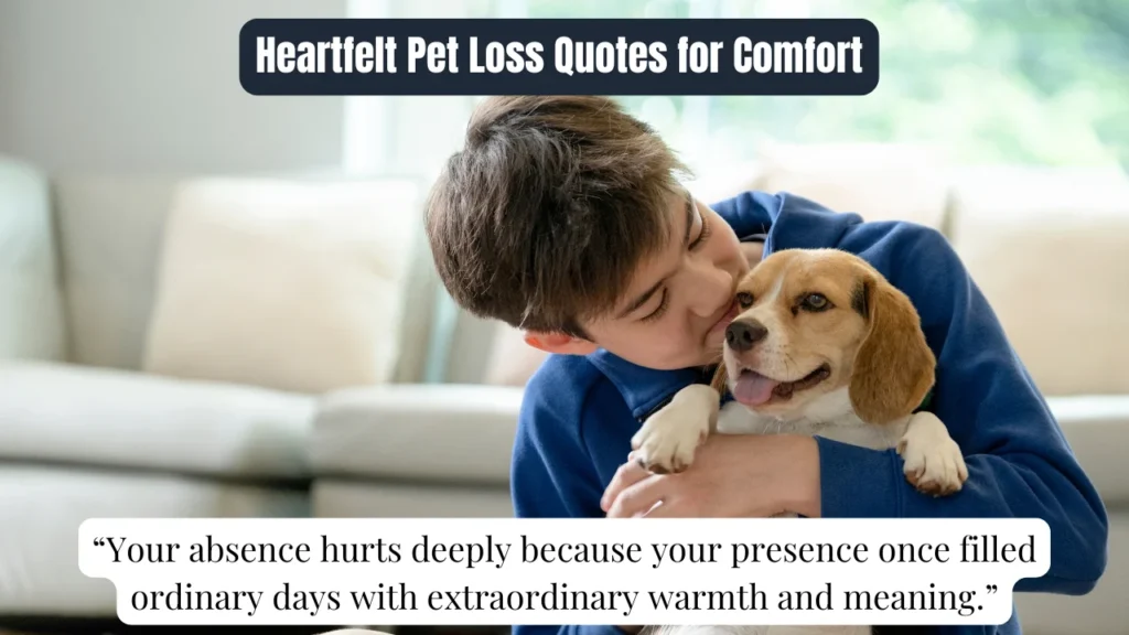 Heartfelt Pet Loss Quotes for Comfort