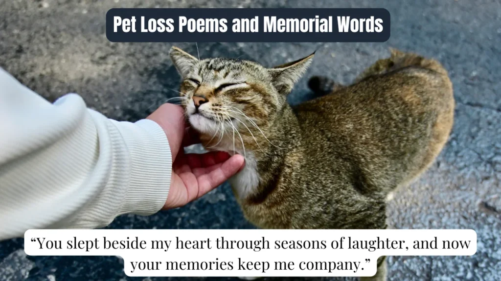 Pet Loss Poems and Memorial Words