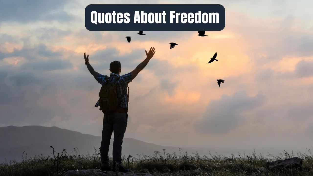 Quotes About Freedom