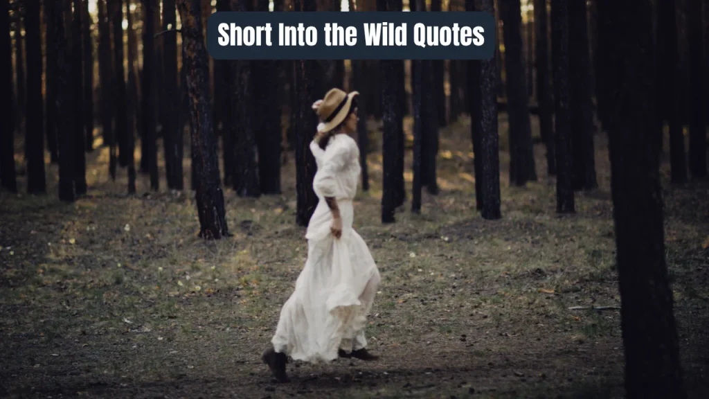 Short Into the Wild Quotes