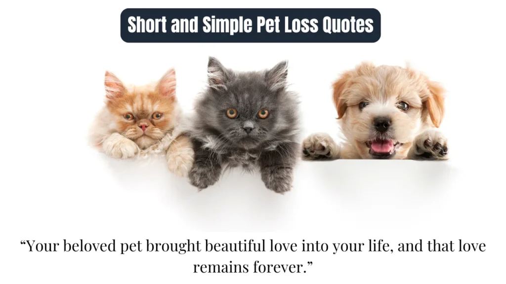 Short and Simple Pet Loss Quotes