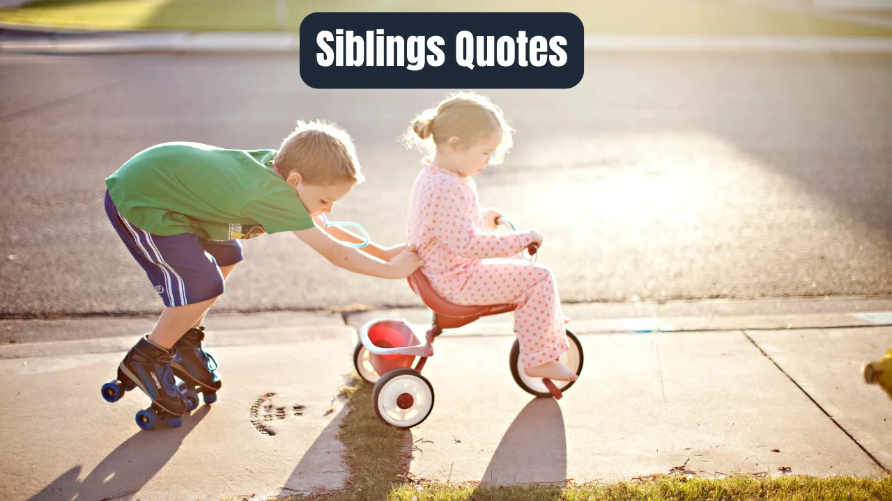 Siblings Quotes
