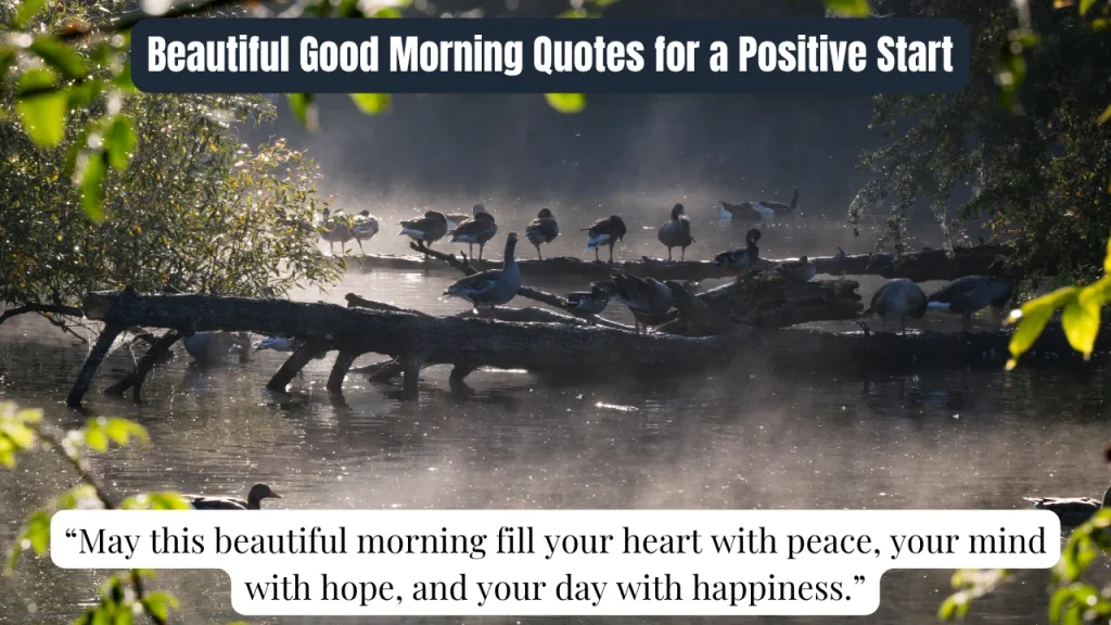 Beautiful Good Morning Quotes for a Positive Start