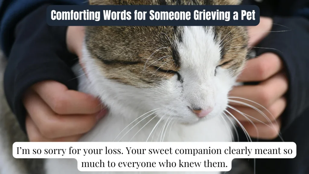 Comforting Words for Someone Grieving a Pet