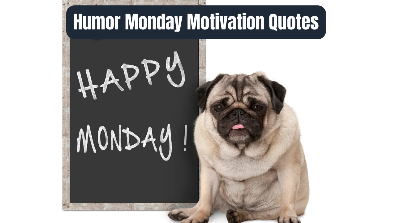 Humor Monday Motivation Quotes