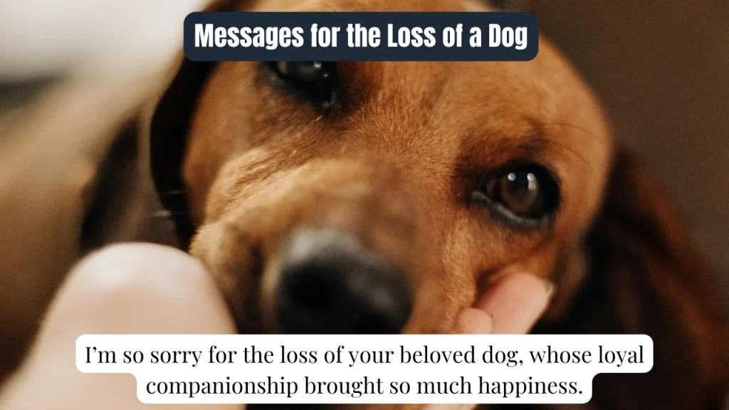Messages for the Loss of a Dog