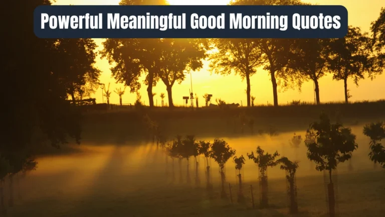 Powerful Meaningful Good Morning Quotes