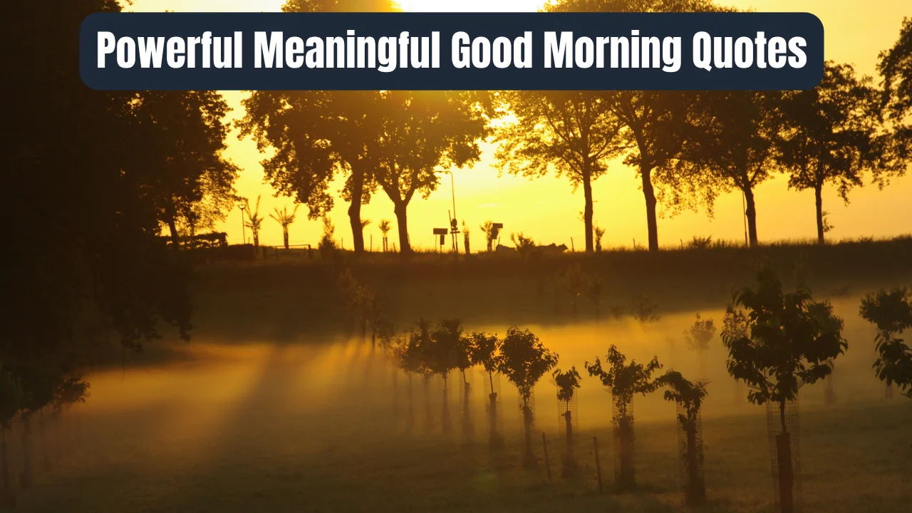 Powerful Meaningful Good Morning Quotes